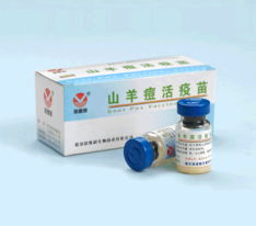 哈尔滨维科生物技术开发公司 引领生物技术创新，共创健康未来