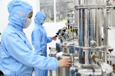 加拿大生物工程与生物技术开发 低调的王者，未来的引擎