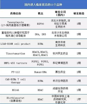多发性骨髓瘤治疗药物的发展历程 从1959到2017，聚焦20款上市药物与中国临床进展
